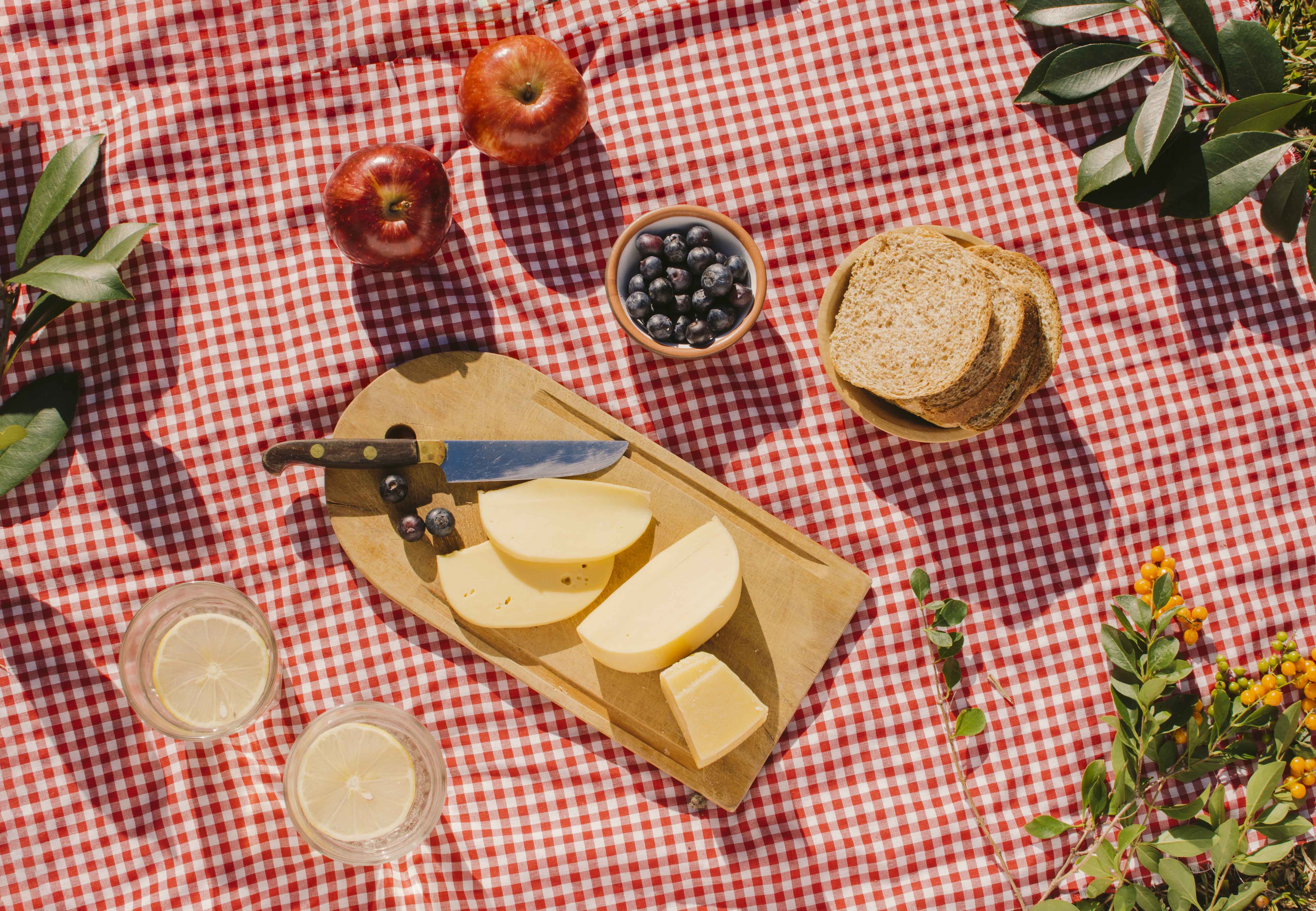 Picnic under a Cork Oak