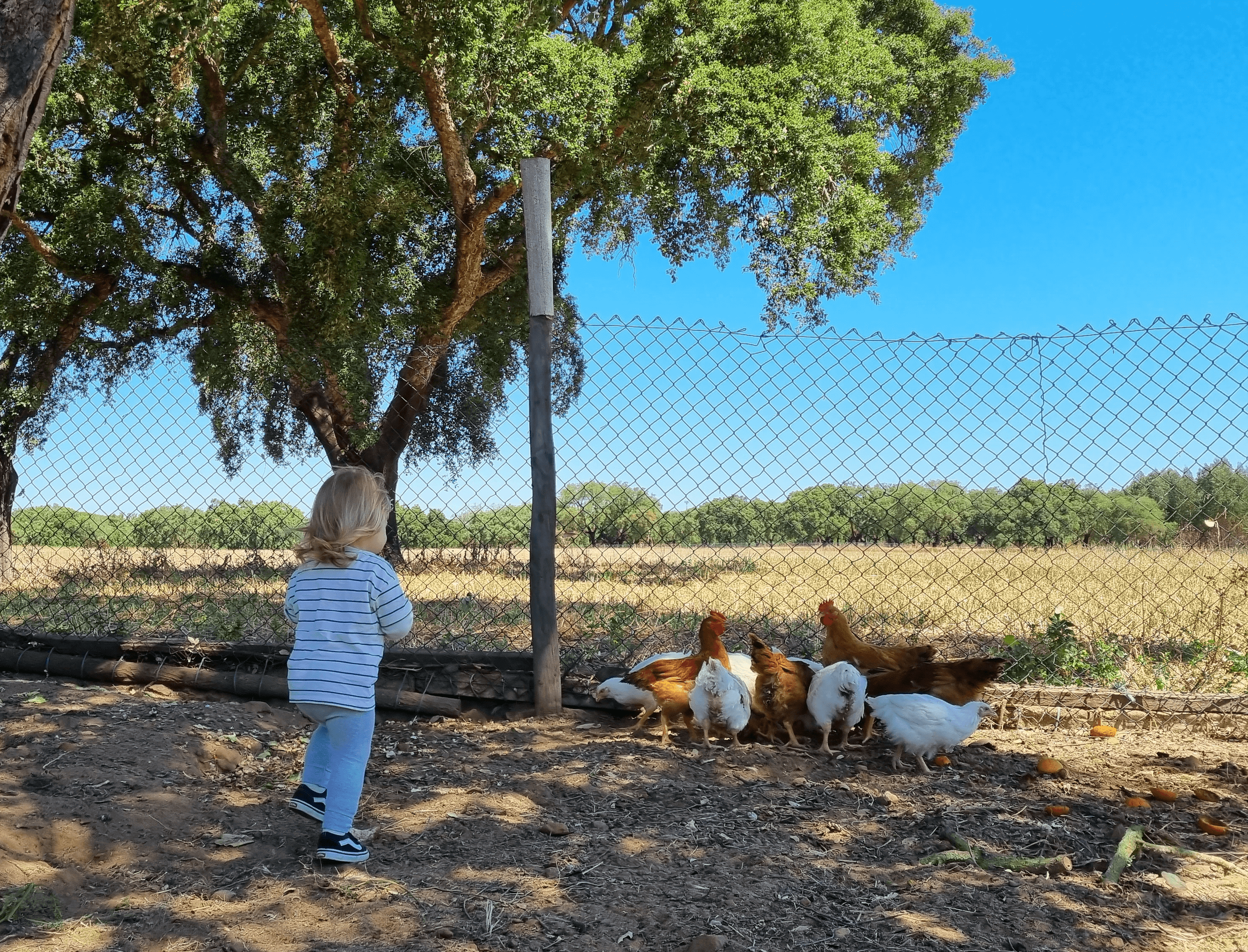 Passeio pela Quinta
